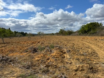 Terreno  Venda